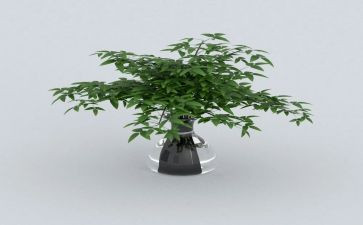 绿色培训心得体会8篇
