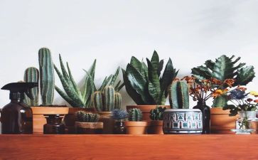 绿化合同通用5篇
