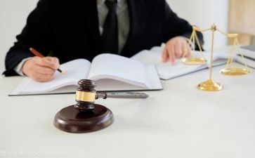 2024年度律师工作总结最新5篇