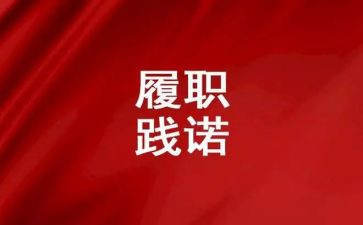 个人履职考核工作总结8篇