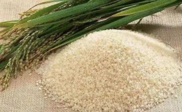 卖米读后感8篇