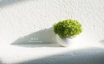 快生活与慢生活作文800字最新7篇