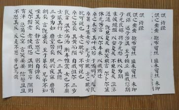 氓的演讲稿优秀8篇
