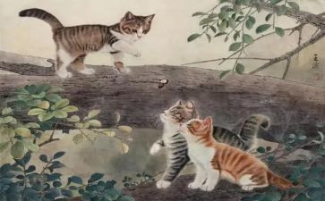 我的猫读书心得最新8篇