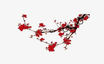 植物朋友梅花作文5篇