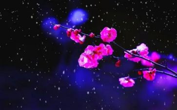写梅花糕的作文最新8篇