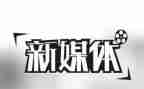 多媒体工作个人总结5篇