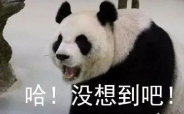 没想到作文优质6篇