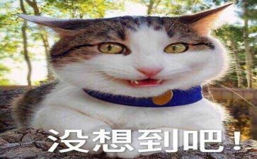 没想到作文8篇
