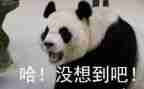 没想到作文优质6篇