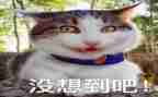 没想到作文8篇