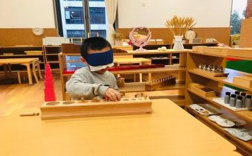 蒙氏数学培训心得体会精选6篇