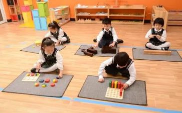幼儿蒙氏教育心得体会6篇