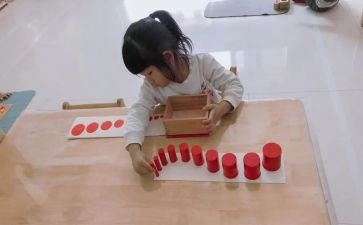 蒙氏大班教学总结最新8篇