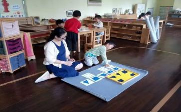 幼儿园蒙氏老师个人总结最新7篇