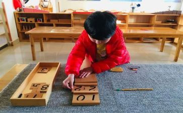 蒙氏教学学期总结优秀6篇