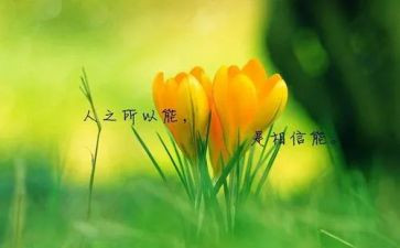 名人作文最新8篇