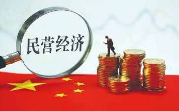 某民营企业调研报告5篇
