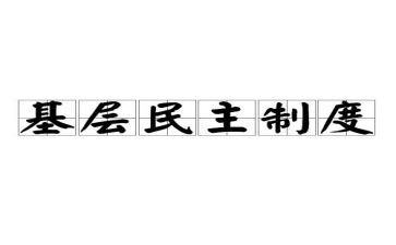 民主评议书个人总结6篇