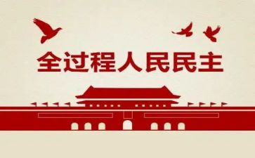 民主评议书个人总结精选8篇