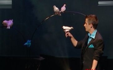 魔术车教案模板6篇