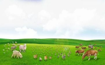 牧场之国教案参考7篇