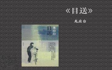 目送读后感8篇