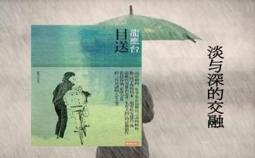 读后感目送800字6篇