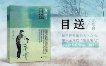 目送读后感通用5篇
