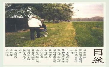 目送阅读心得6篇