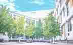 母校行演讲稿优质8篇