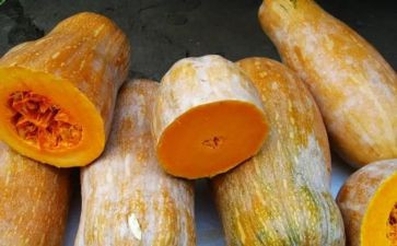 南瓜饼教案精选5篇