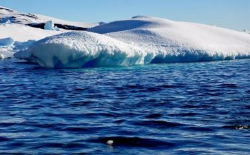 《南极大冒险》观后感精选6篇