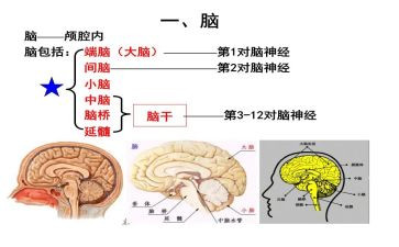 脑外科护士心得体会范文8篇