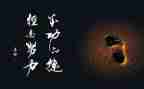 我尝试我成功作文500字7篇