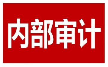 乡内审工作计划8篇