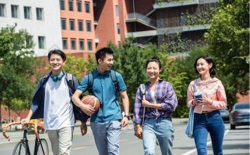 2024年少先队小学工作总结优秀8篇