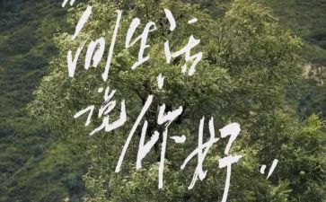 你好…作文800字6篇
