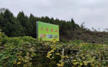 农产品的调查报告7篇