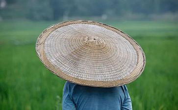 农夫与鹤读后感5篇