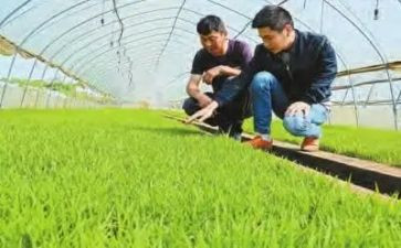 基层农技培训心得6篇