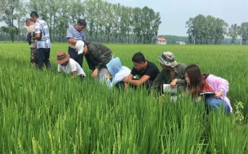 助理农艺师工作总结范文8篇