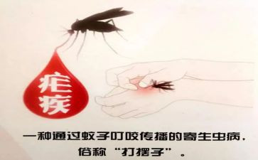 2024年疟疾宣传总结7篇