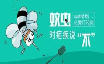 2024年疟疾宣传总结优质8篇