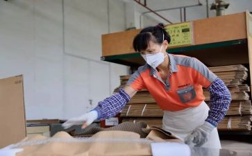 2024妇女工作总结精选8篇