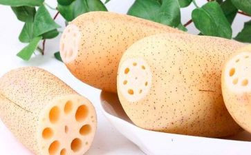 莲与藕中班科学教案模板6篇