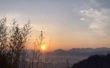 盼除夕作文600字推荐7篇