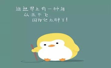 我的烦恼胖作文300字7篇