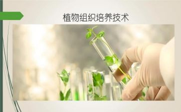 培养申请书6篇
