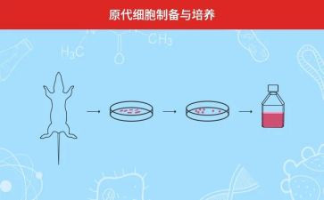 培养孩子爱阅读的心得7篇